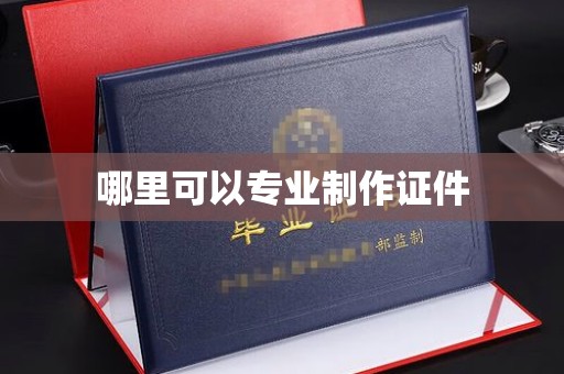 龙华新区哪里可以专业制作证件