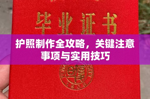 龙华新区护照制作全攻略，关键注意事项与实用技巧