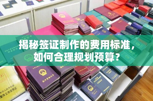 龙华新区揭秘签证制作的费用标准，如何合理规划预算？