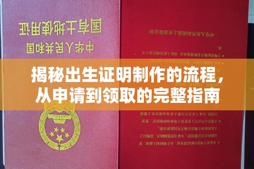 龙华新区揭秘出生证明制作的流程，从申请到领取的完整指南