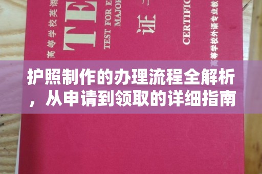 龙华新区护照制作的办理流程全解析，从申请到领取的详细指南