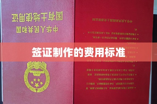龙华新区签证制作的费用标准
