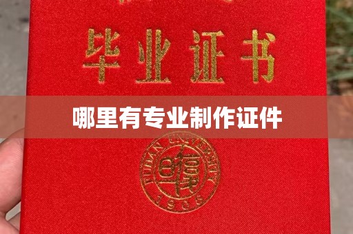 龙华新区哪里有专业制作证件