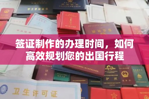 龙华新区签证制作的办理时间，如何高效规划您的出国行程