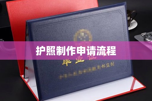 龙华新区护照制作申请流程