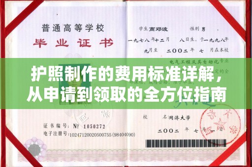 龙华新区护照制作的费用标准详解，从申请到领取的全方位指南
