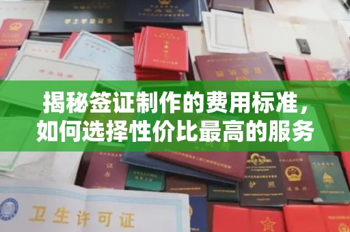 龙华新区揭秘签证制作的费用标准，如何选择性价比最高的服务？