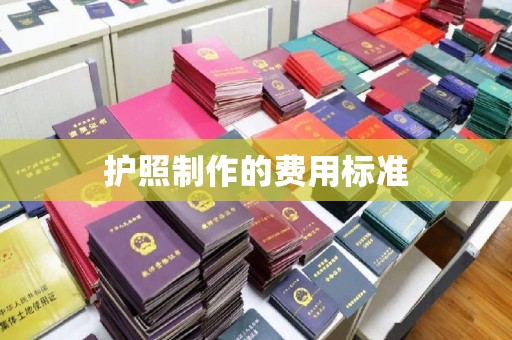 龙华新区护照制作的费用标准