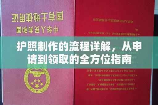 龙华新区护照制作的流程详解，从申请到领取的全方位指南