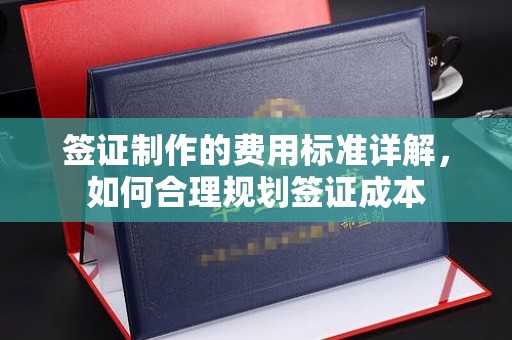 龙华新区签证制作的费用标准详解，如何合理规划签证成本