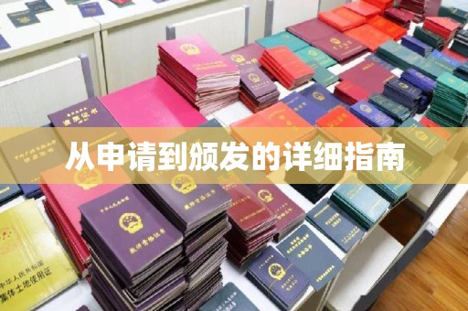 龙华新区从申请到颁发的详细指南